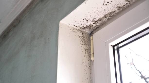 Water Damage Restoration in Black Earth, WI