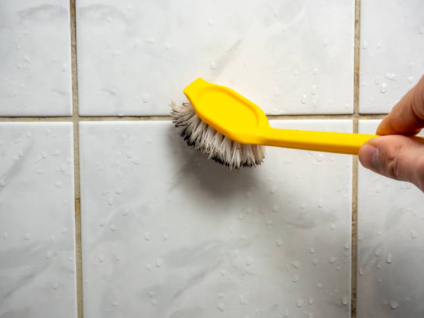 Best Certified Mold Removal  in Black Earth, WI